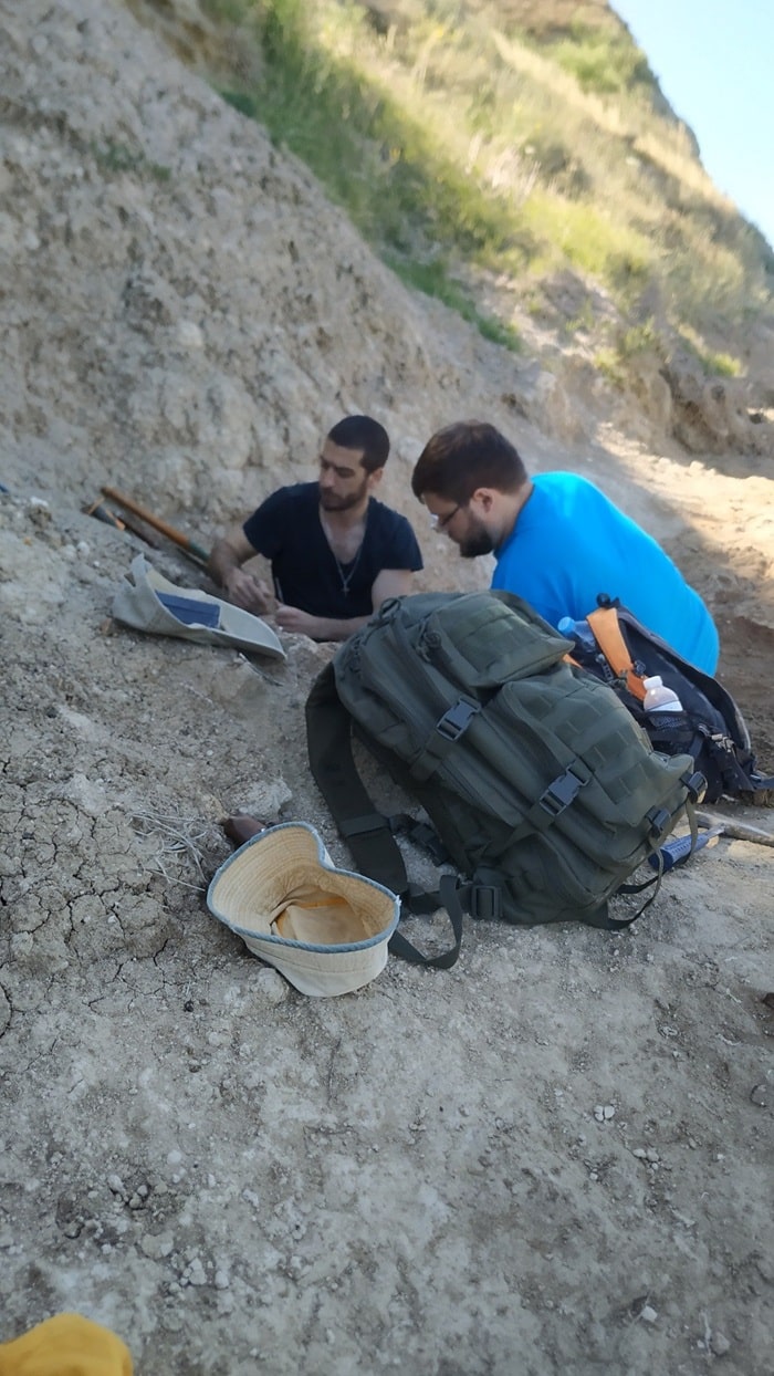 Komodo Dragon Thessaloniki