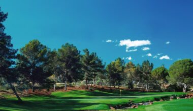 LPGA partners Saudi Golf to launch Las Vegas tournament