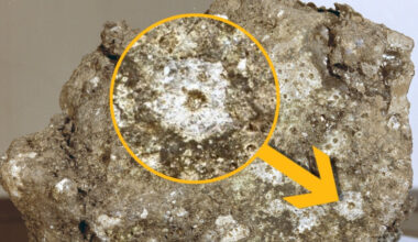 Constant Rain of Tiny Meteoroids Poses 'Silent Threat' to Future Moon Base : ScienceAlert