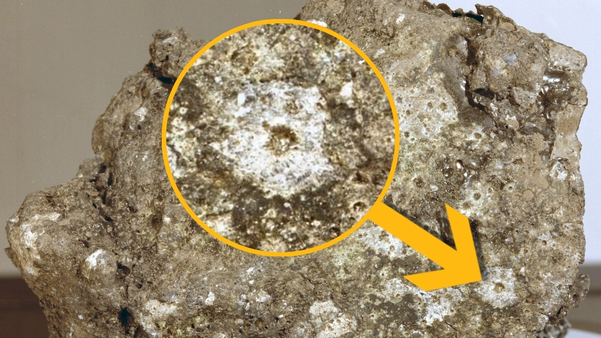 Constant Rain of Tiny Meteoroids Poses 'Silent Threat' to Future Moon Base : ScienceAlert