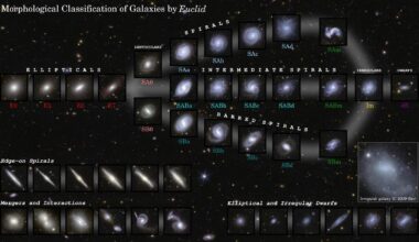This image shows examples of galaxies in different shapes, all captured by Euclid during its first observations of the Deep Field areas. © ESA/Euclid/Euclid Consortium/NASA, image processing by M. Walmsley, M. Huertas-Company, J.-C. Cuillandre