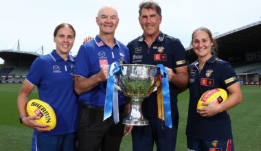 Lions embrace underdog tag, why scare was 'ideal preparation' for Roos