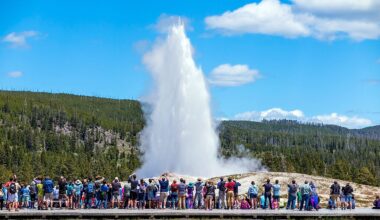 Yellowstone National Park’s Old Faithful Introduces Geyser Wonderland and Roaming Wildlife