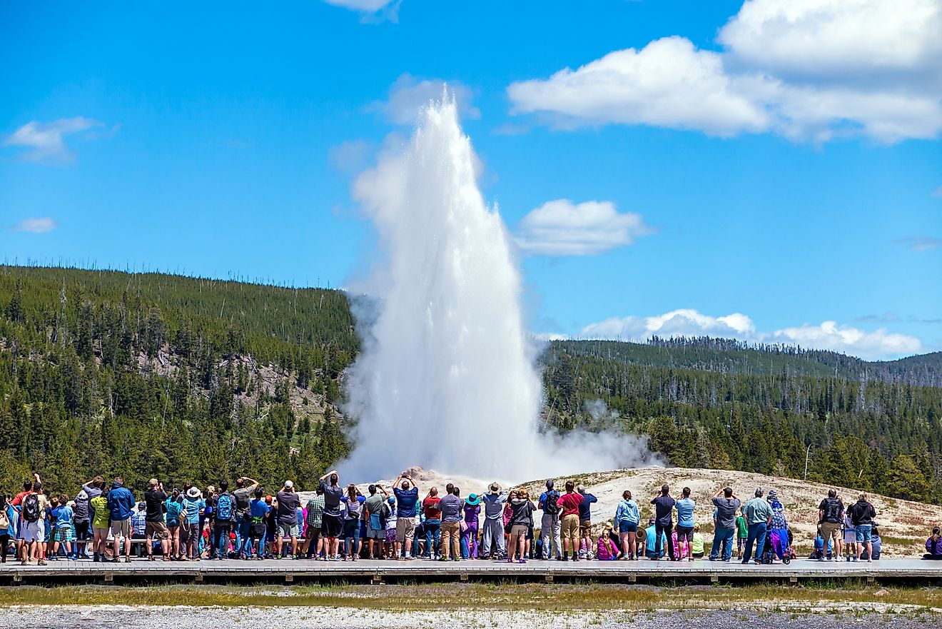 Yellowstone National Park’s Old Faithful Introduces Geyser Wonderland and Roaming Wildlife