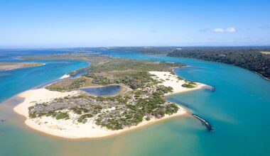 6 Most Snake-Filled Bodies Of Water In Victoria