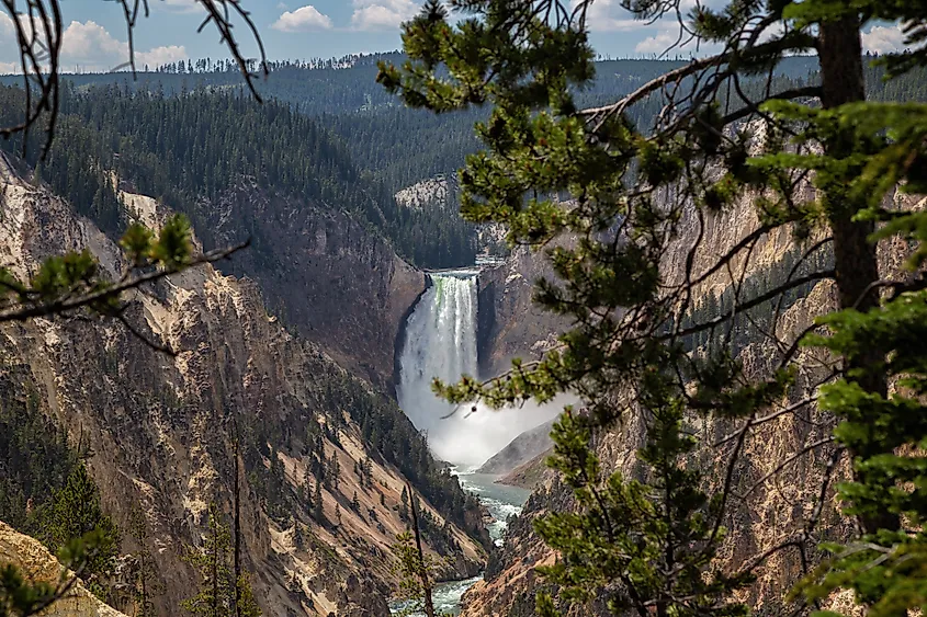 Grand Canyon of Yellowstone National Park. Wyoming.