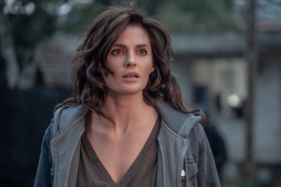 stana katic absentia