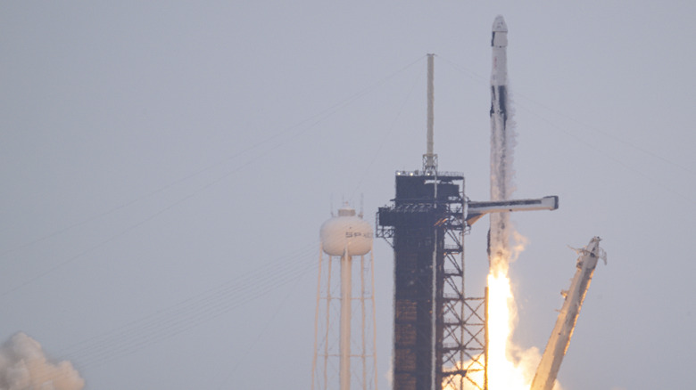 SpaceX falcon rocket launch