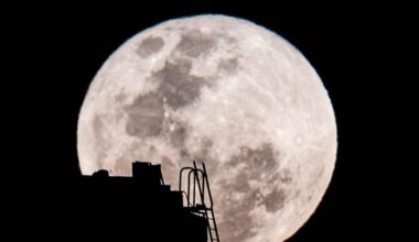 The moon dominates the night sky with a ladder and the top of a building visible in the foreground.