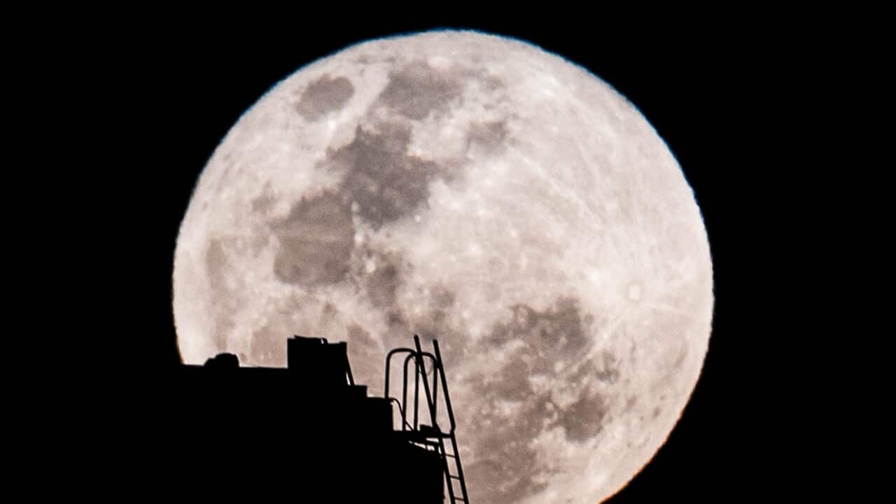 The moon dominates the night sky with a ladder and the top of a building visible in the foreground.
