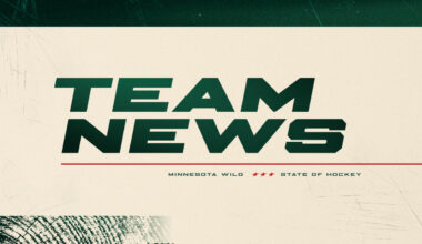 Minnesota Wild Recalls Defenseman David Špaček From Iowa