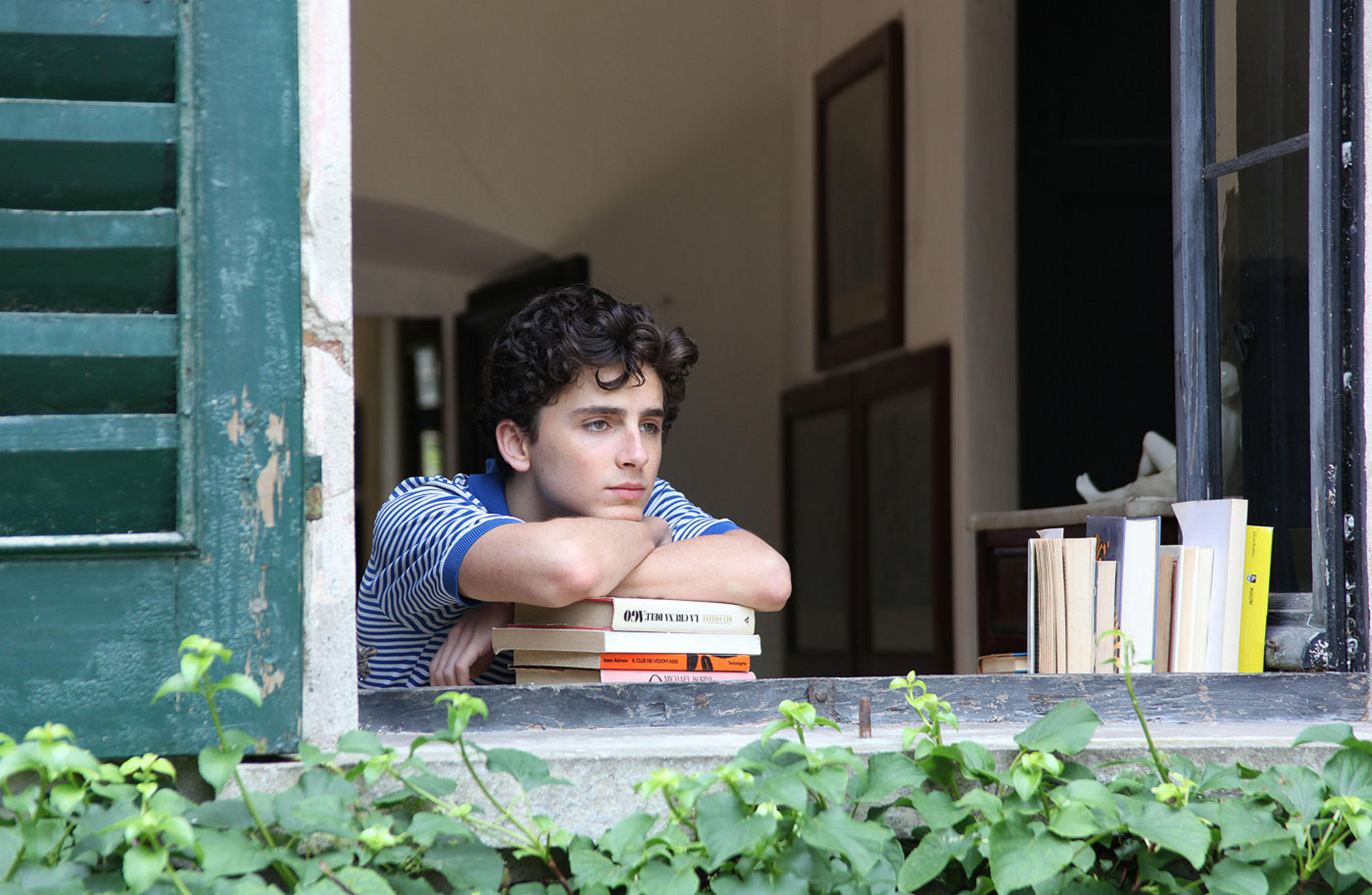 Timothée Chalamet in "Call Me By Your Name" (2017) leaning on books in a window.