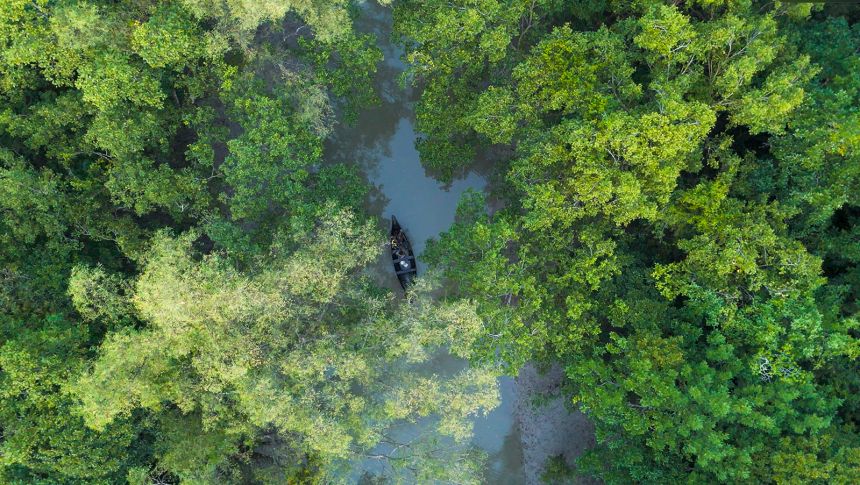 In the Sundarbans, fishermen who venture deep into the mangrove forests are at risk of tiger attacks.