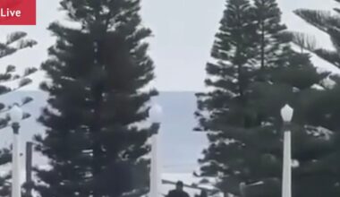 Jewish Chanukah by the Sea celebration attacked; 12 confirmed dead; shooters yet to be identified; Anthony Albanese, Chris Minns respond