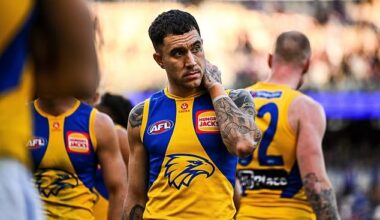The West Coast Eaglesare investigating a street fight that allegedly involved AFL player Tyler Brockman