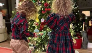 Hilary Swank shares rare photo of twins after airport outburst to mother taking dying kids on Make-a-Wish trip