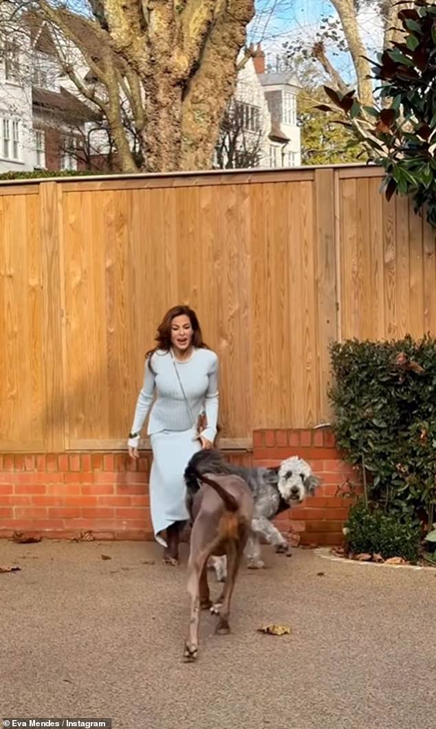 The actress, 51, shared a clip of her walking along the street with her dogs Lucho and Magic as the stunning houses were seen in the background