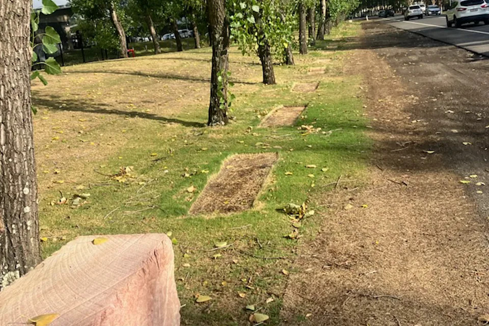 Gaps left in the grass after the blocks' removal outside of the Macquarie Regional Football Facility.