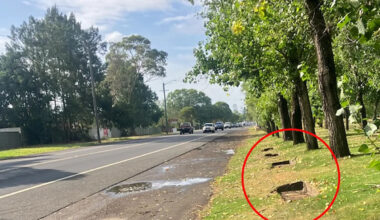 Council blasts illegal $10,000 move on roadside in 'brazen' first: 'Multiple trips'