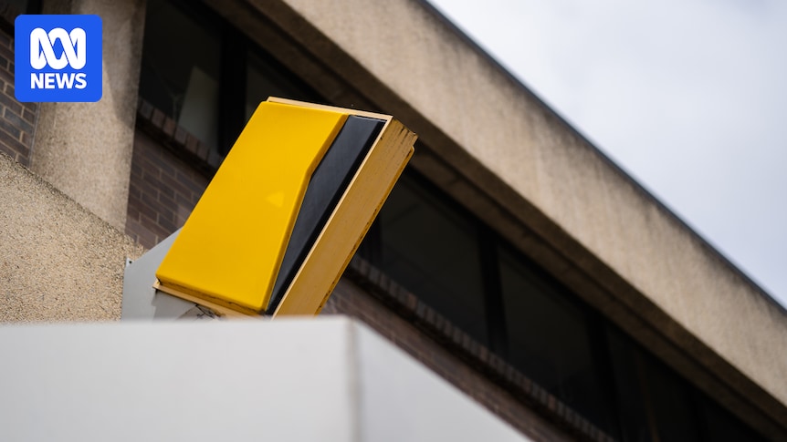 Commonwealth Bank convinced regulator to delay news it was breaking spam laws until after AGM