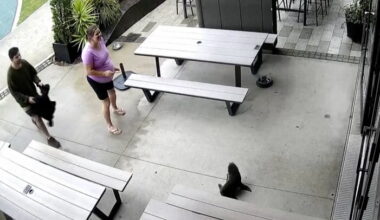 Video Player Placeholder