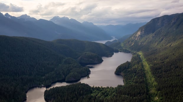 Over 400 Natural Resources Canada jobs at risk, union says