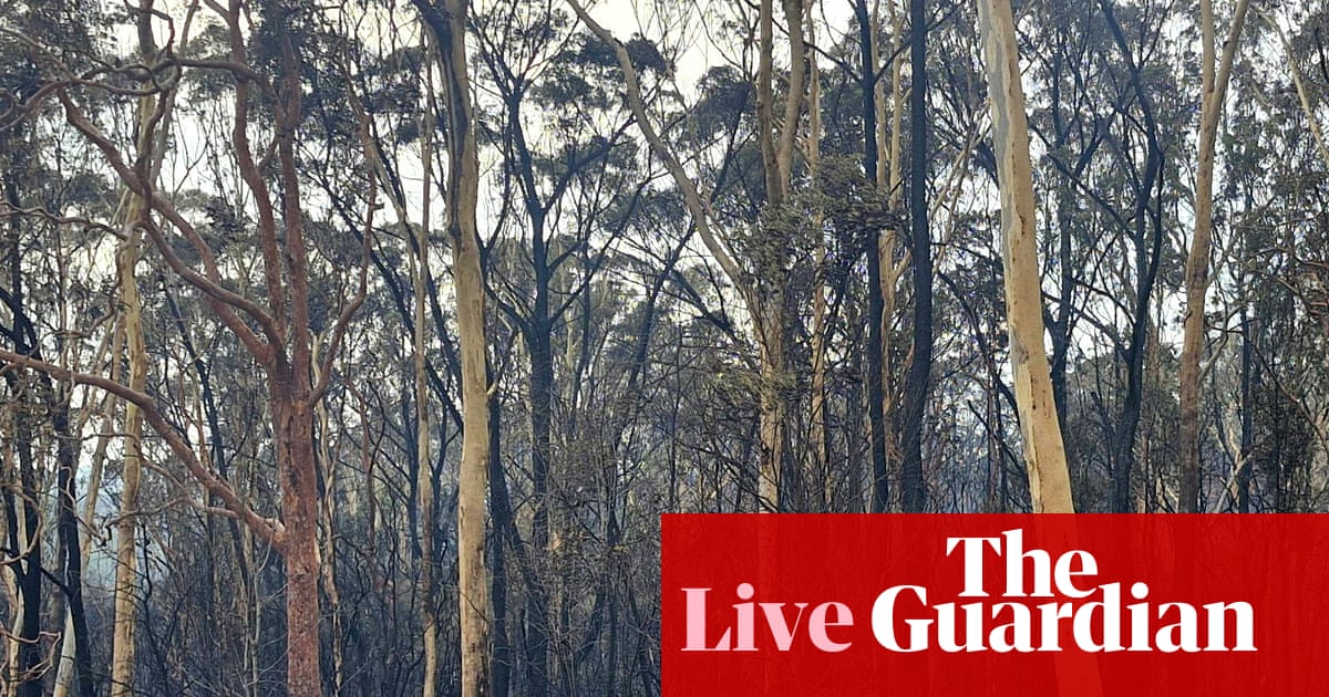 Australia news live: firefighter dies in NSW; Bragg says ‘every back yard’ could fit a new house or granny flat | Australia news