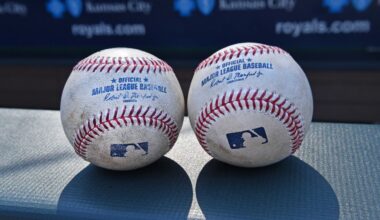 Dominican Republic to host Tigers ahead of World Baseball Classic