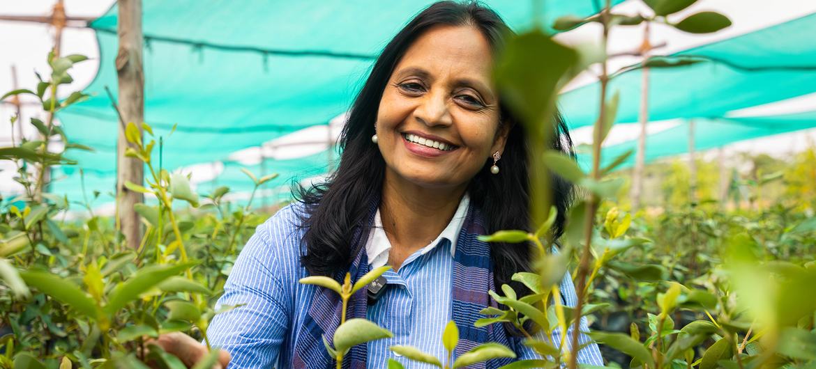 Champions of the Earth Award winner Supriya Sahu is recognized for her groundbreaking leadership in subnational climate action, restoring ecosystems and scaling sustainable cooling innovations across Tamil Nadu.