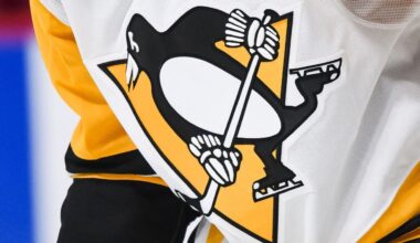 Sources: Fenway Sports Group to sell Penguins to Hoffman family