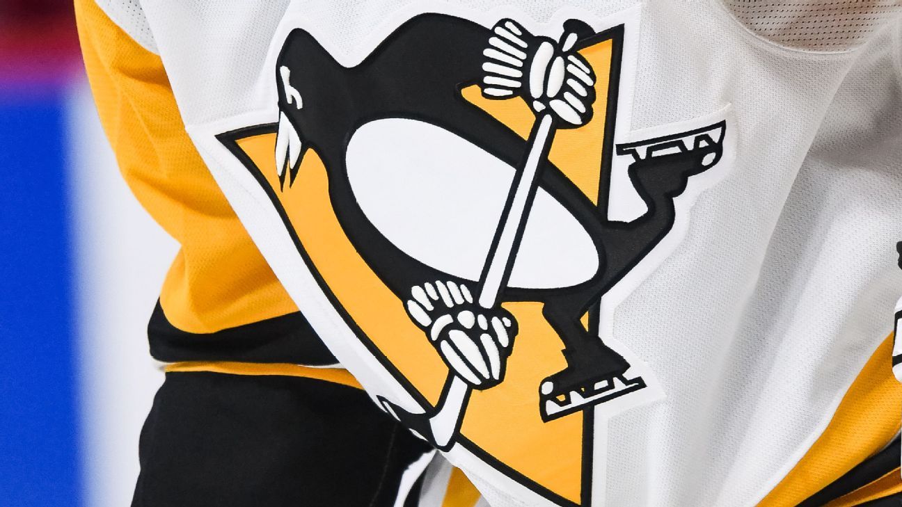 Sources: Fenway Sports Group to sell Penguins to Hoffman family
