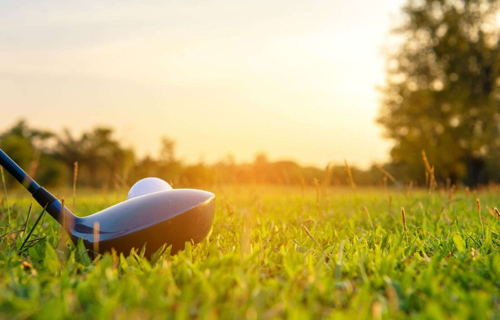 Course activity continues | Deniliquin Pastoral Times