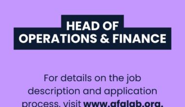 2 Remote Roles Available Now at the African Futures Lab (AFL) for 2026: Apply!!