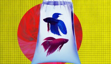 Anthropic's Advanced New AI Tries to Run Vending Machine, Goes Bankrupt After Ordering PlayStation 5 and Live Fish