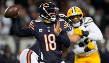 NFL Week 17 playoff picture: Clinching scenarios, standings