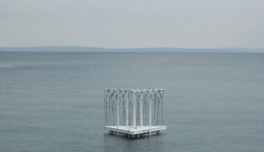 Plivatri Pavilion / MEDS (Meetings of Design Students) + Ahmad El Zu'bi + Leda Demetriadou + Stefanie Zins