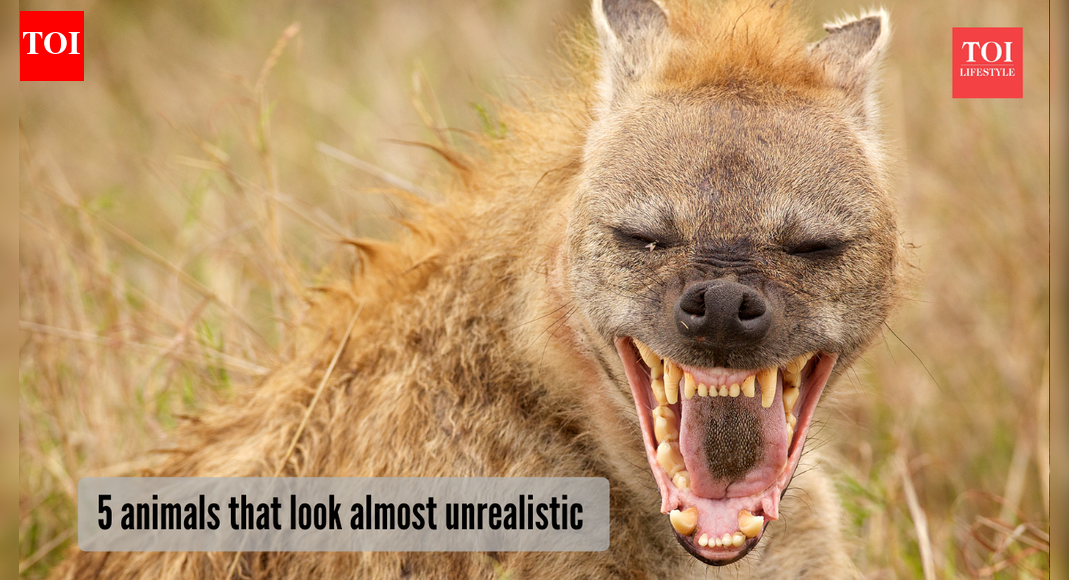 ​5 most unreal animals on the planet​