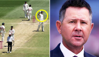Ashes cricket: Aussie cricket fans rally around Test star after Ricky Ponting addresses Cam Green move