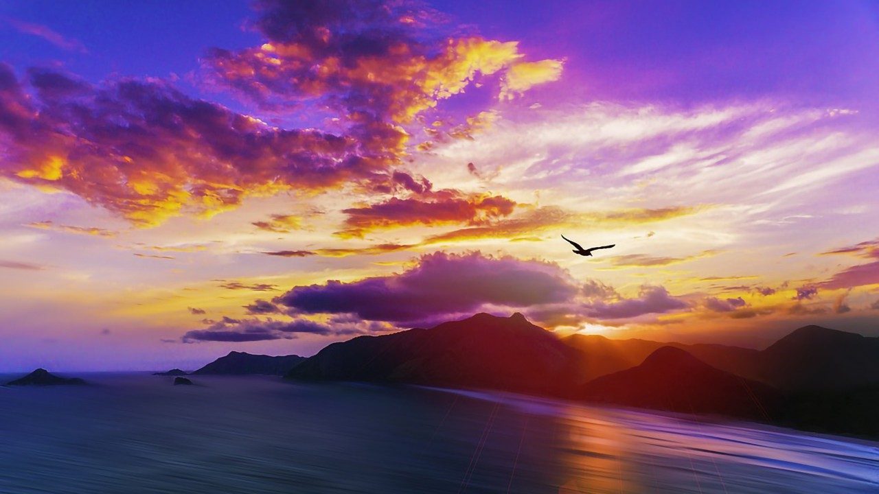 Receiving the 59th World Day of Peace Message in the current Australian context