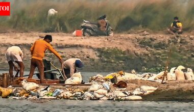 Yamuna sand mining: Mid-river digs to illegal ramps, NGT panel finds major violations; GRAP curbs ignored | Noida News