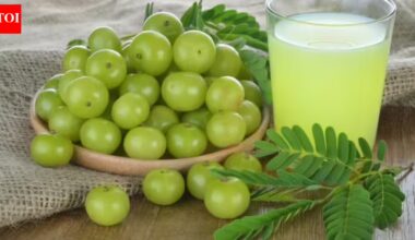Can amla outperform modern supplements?