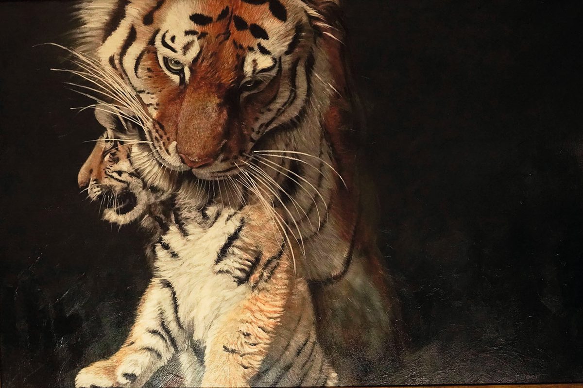 The astounding, show-stopping winners of Wildlife Artist of the Year 2025