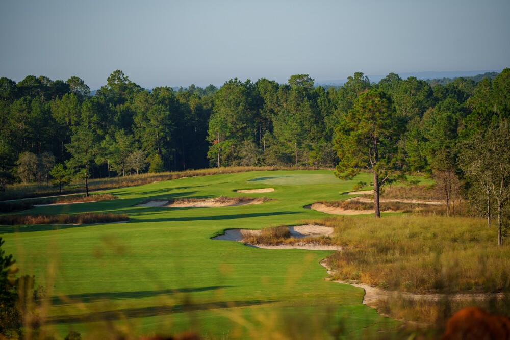 Wild Spring Dunes - bunkers
