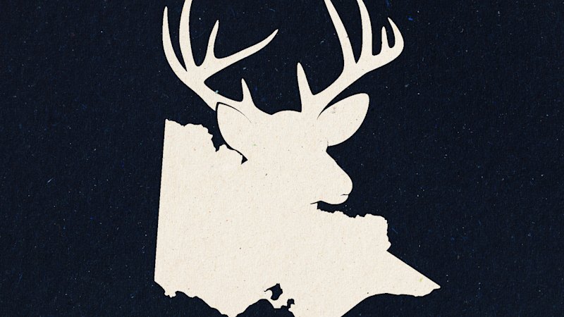 Farmers’ campaign against feral deer exposes the traps of Victoria’s system