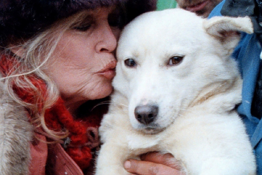 Brigitte Bardot kissing the side of a dog's face.