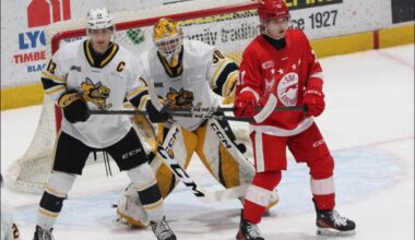 UPDATE: Greyhounds add NHL prospect from Sarnia in divisional deal