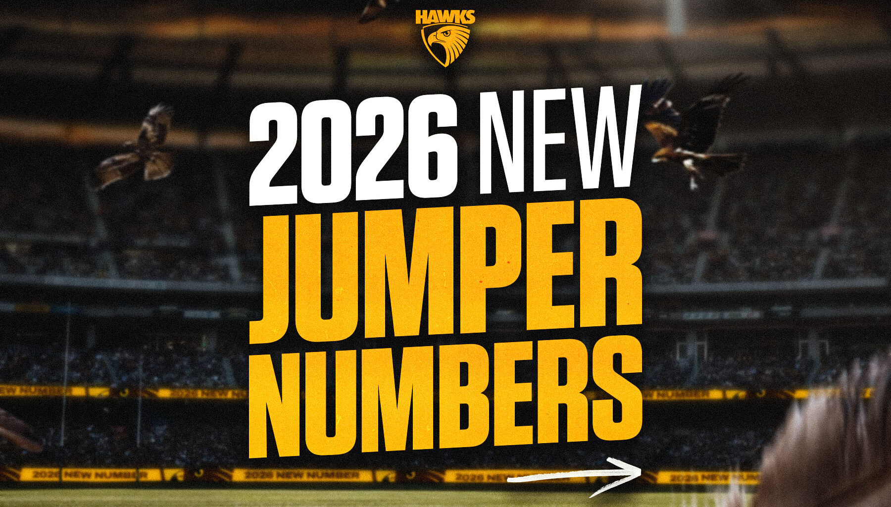 Four changes headline 2026 AFL guernsey numbers