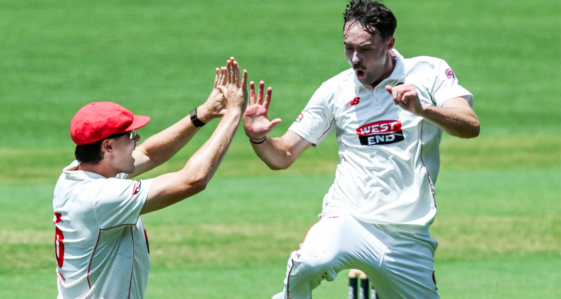 34-year-old tailender top scores on debut for Tasmania