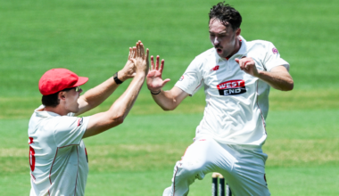 34-year-old tailender top scores on debut for Tasmania