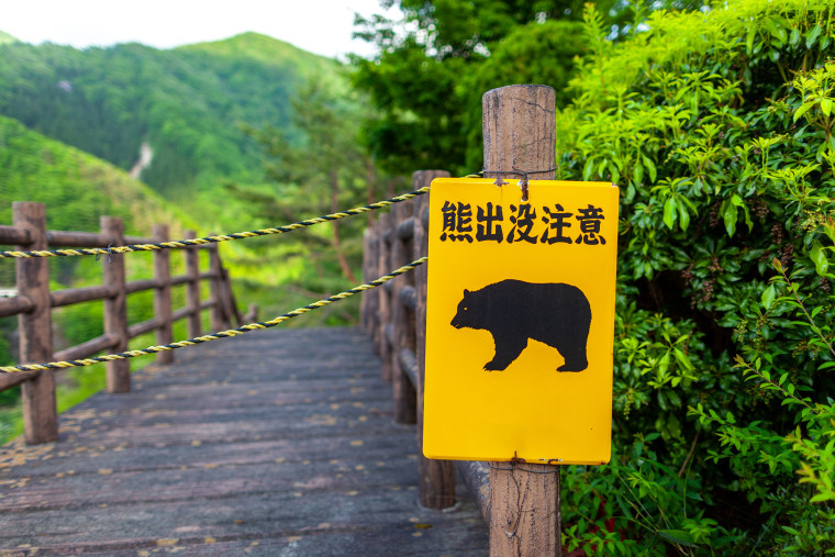 An image of Bear-warning sign. (Japanese translation: Beware of Bears)